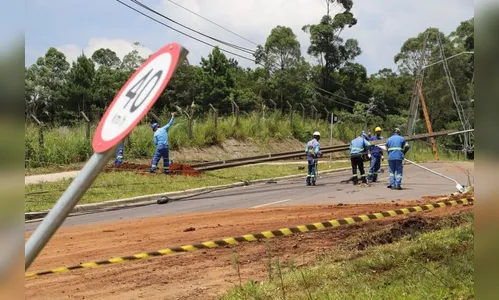 Paraná: Copel recupera energia em quase 100% das casas após temporal