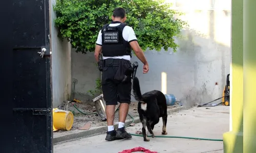 Quatro pessoas são presas durante operação no litoral do Paraná