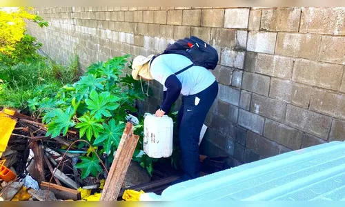 Arapongas reforça trabalho de combate à dengue; saiba como agir
