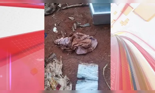 Trabalhadores encontram ossada humana em canavial em Astorga