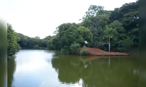 Prefeitura notifica empresa para apressar obra no Parque dos Pássaros