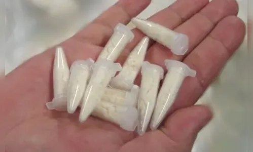 PM apreende drogas e carros em biqueira no centro de Marilândia do Sul