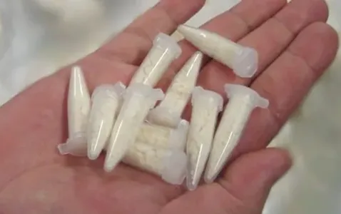 Porções de cocaína também foram encontradas na casa