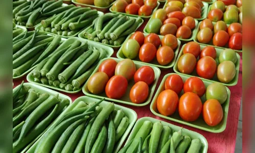 Segurança alimentar e agricultura familiar receberam R$ 270 mi em 2023