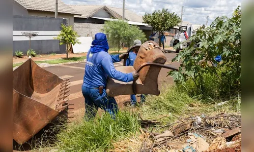 Todo mundo precisa fazer sua parte contra a dengue