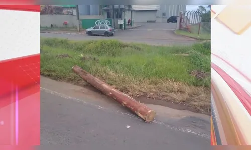 Tora de madeira cai de caminhão e atinge motociclista na PR-160