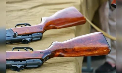 Criminosos invadem casa e furtam armas em Apucarana