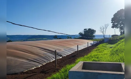 Geração de energia renovável no campo no PR é referência internacional