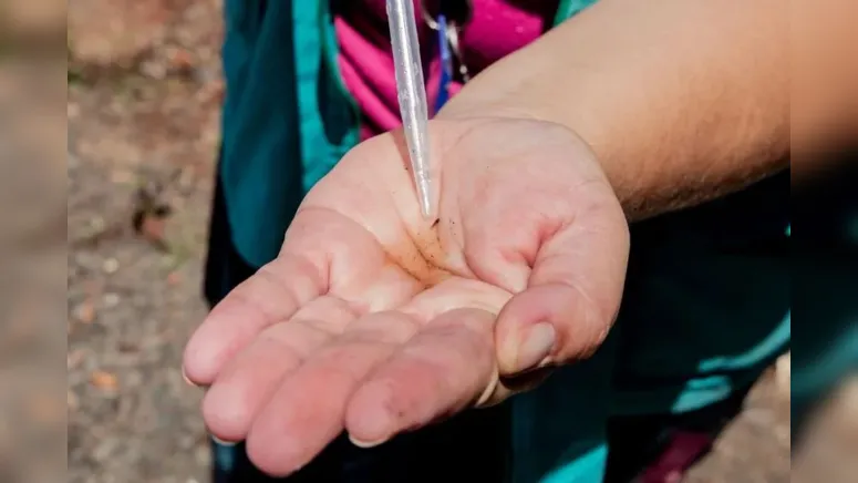 Imagem ilustrativa da notícia Brasil pode chegar a 5 milhões de casos de dengue