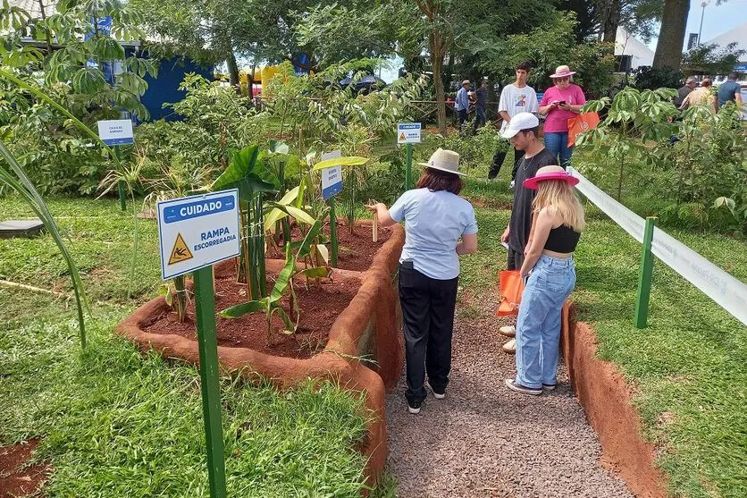 O Caminho das Águas está aberto a todos os visitantes até sexta-feira (9)