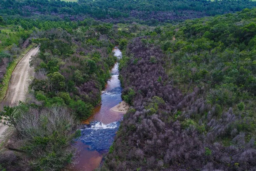 O Paraná ainda abriga alguns remanescentes de Cerrado