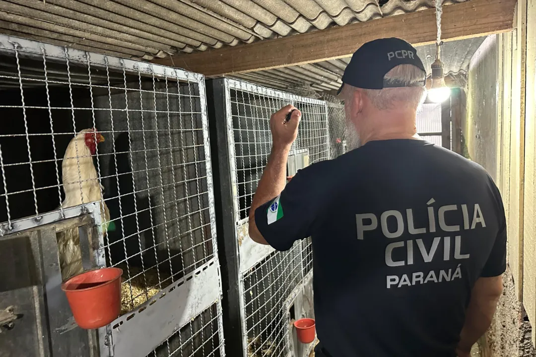 Répteis, aves e mamíferos foram resgatados