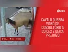 Cavalo quebra vidro de consultório a coices e deixa prejuízo