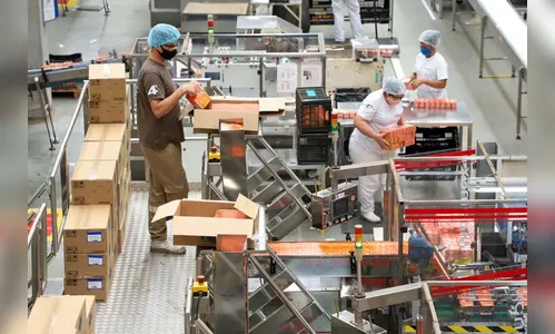 Fevereiro inicia com 17,9 mil vagas de emprego no Paraná; saiba mais