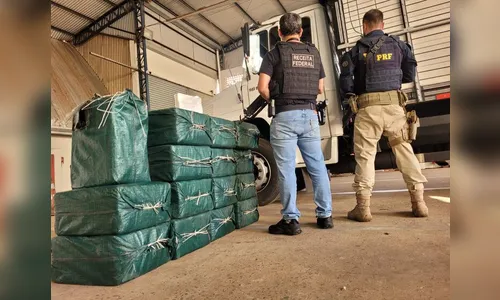 Com meia tonelada, maior apreensão de cocaína do ano é feita no PR
