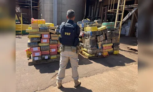 Apreensão de maconha gera prejuízo de R$ 6,5 mi ao crime organizado