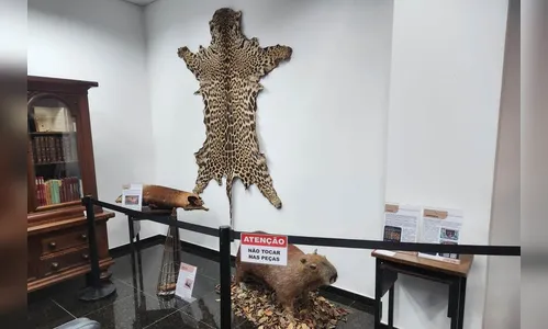 Polícia Científica leva exposição sobre crimes ambientais ao Litoral