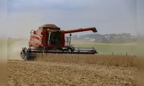 Condições climáticas reduzem previsão de safra do verão paranaense