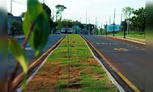 Arapongas inaugura Avenida Guarani, Meu Campinho e Centro Esportivo