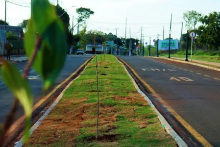 Avenida Guarani está entre as obras