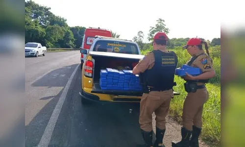 Fiat Palio com 200 kg de maconha é abandonado após acidente na PR-323
