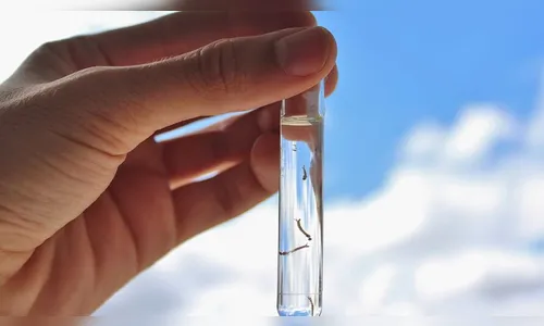 Casos de dengue aumentam e prefeitura emite alerta máximo em Arapongas