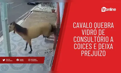 Cavalo quebra vidro de consultório a coices e deixa prejuízo