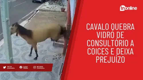 Cavalo quebra vidro de consultório a coices e deixa prejuízo