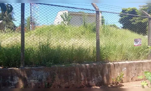 Lunardelli multa empresa de telefonia por descuido ambiental