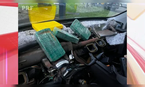 PRF apreende cocaína com auxílio de cão de faro da PM no Paraná