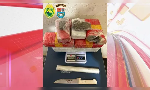 Quase 6kg de maconha são apreendidos dentro de residência em Arapongas