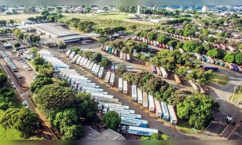 “Operação Reestruturação” de auditores agropecuários impacta serviços