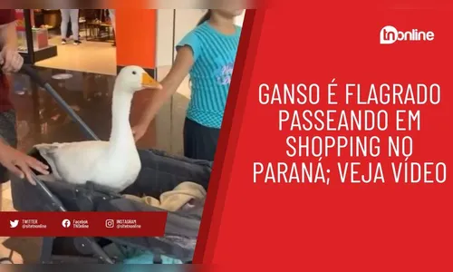 Ganso é flagrado passeando em shopping no Paraná