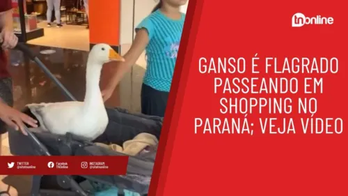 Ganso é flagrado passeando em shopping no Paraná