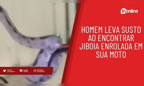 Homem leva susto ao encontrar jiboia enrolada em sua moto