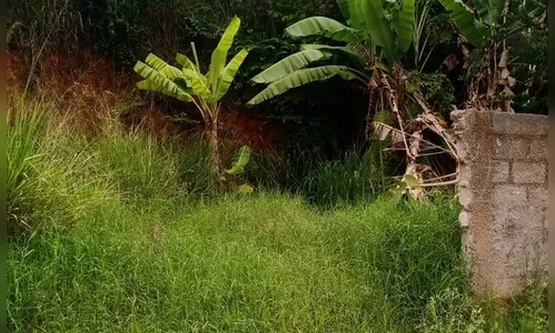 Jovem bêbado ameaça avó com faca e agride a mãe em sítio de Apucarana