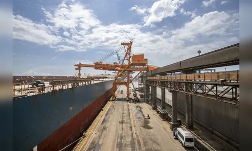 Paraná registra maior volume de exportações de soja da história