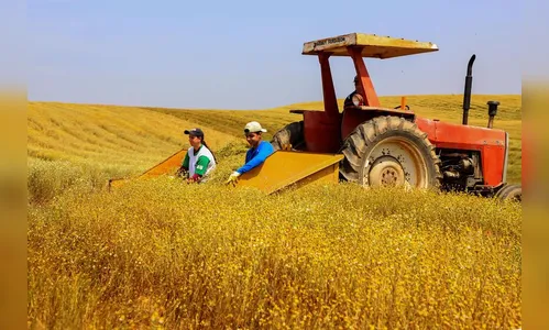 PR teve o maior crescimento da atividade econômica do Brasil em 2023