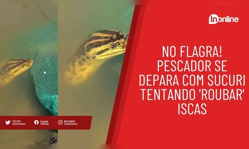 No flagra! Pescador se depara com sucuri tentando 'roubar' iscas