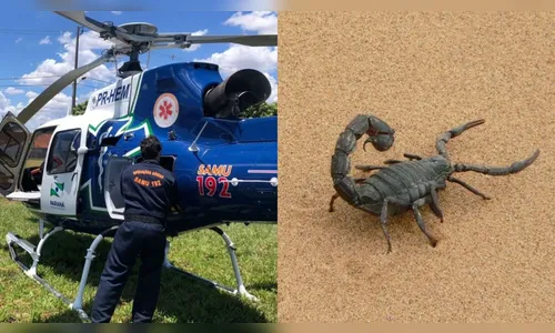 Bebê de 10 meses é picado por escorpião no noroeste do Paraná