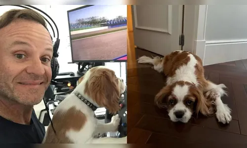 Cachorro de Rubinho Barrichello morre após comer bitucas de cigarro