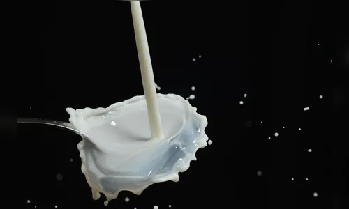 Mulher tira blusa e 'dispara' leite em PM durante abordagem no Paraná