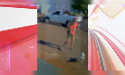 Moradora é flagrada dando paulada em cachorro; veja flagrante