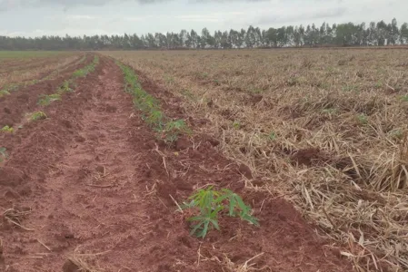 O resultado é a sustentabilidade ambiental e econômica das propriedades rurais