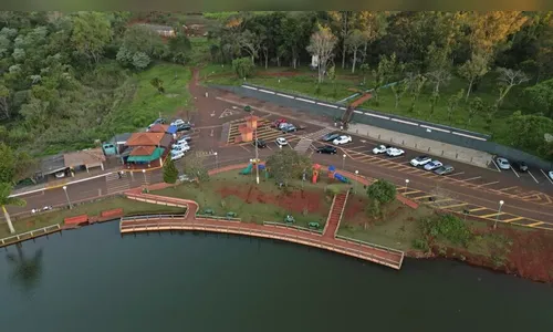 Apucarana promove plantio de mudas de cerejeiras no Parque da Raposa