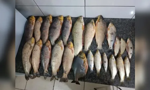 Casal de pescadores é multado em mais de R$ 15,3 mil no Paraná