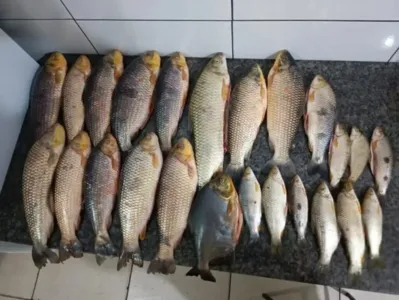 Peixes foram doados a uma entidade sem fins lucrativos