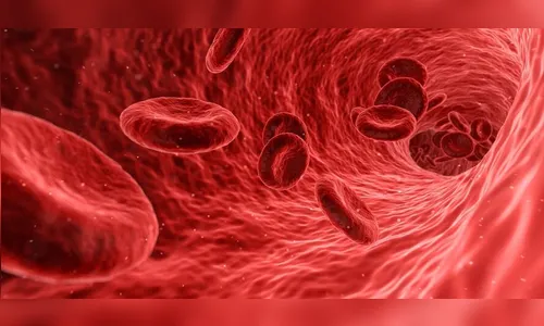 O que ocorre com o corpo quando contraímos dengue e as plaquetas caem?