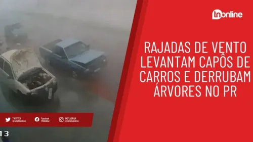 Rajadas de vento levantam capôs de carros e derrubam árvores no PR