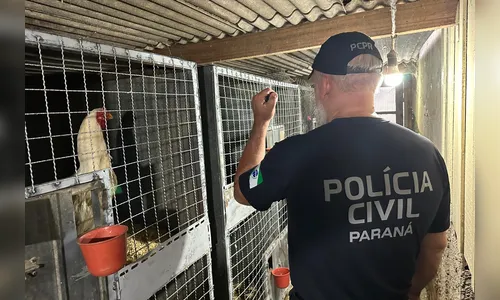 Operação contra rede de tráfico internacional resgata 390 animais
